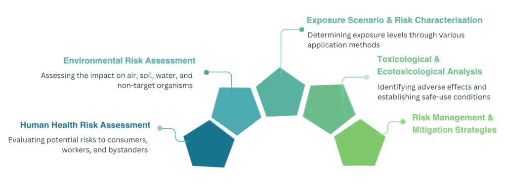 risk assessment